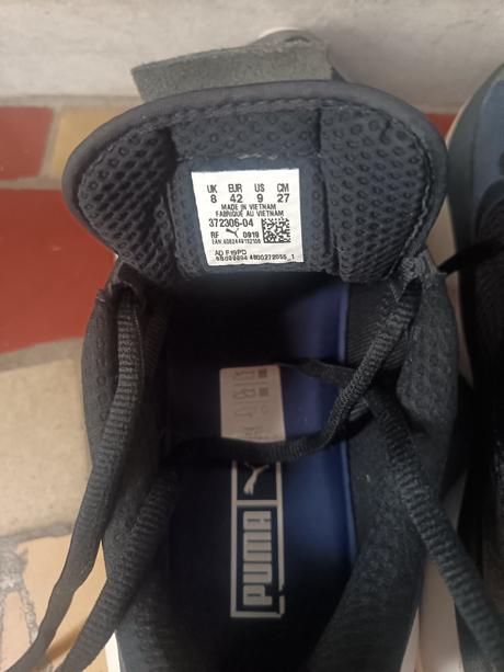 Top stav, puma,42