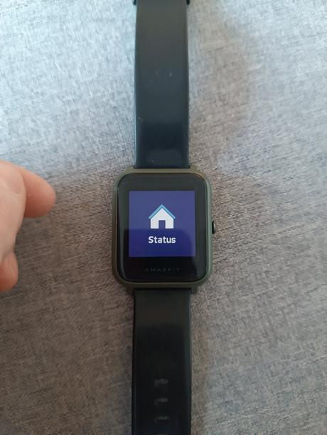 Športové hodinky aamazfit bip a1608, 