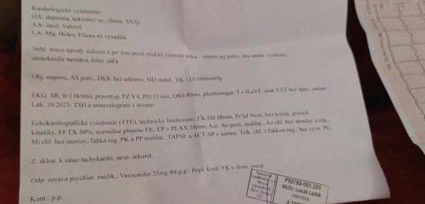 Je výsledok echa v poriadku?