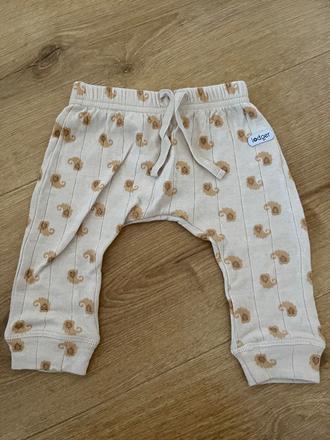 Legíny lodger, lodger,68