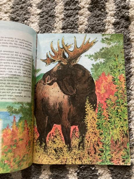 Brožované knižky, 