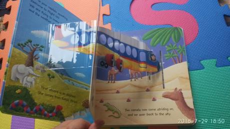 Animal airways - d1,