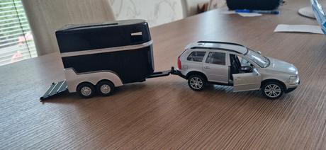 Auto s privesom pre kone, 