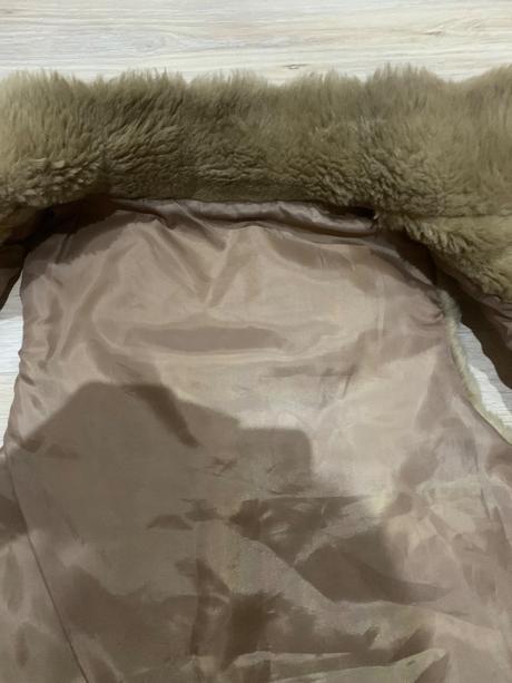 Chlpata vesta122az128, 122