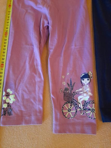 Kratesi, palomino,116