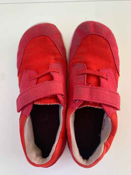 Blifestyle crocodile, 36