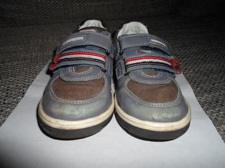 Poltopanky, lasocki,26