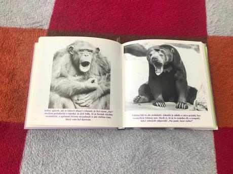 Knizka o zvieratkach, rozmer 16x16 cm,