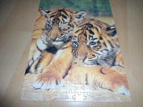 Puzzle tigrik, 