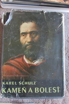 Kamen a bolest karel schulz,