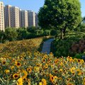 dnesny podvecer v taopu central park