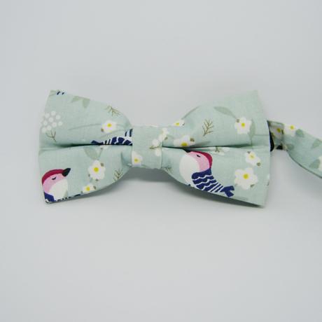 Jarný, pestrý , veľkonočný motýlik, 