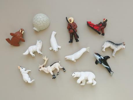 Safari - život v arktíde, 