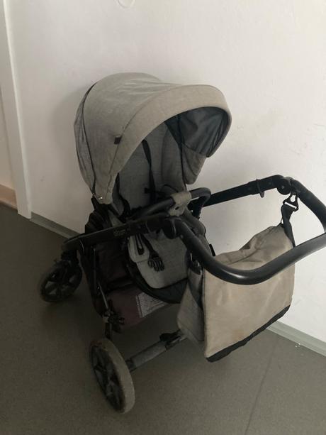 Kočík roan bloom, roan,roan bloom