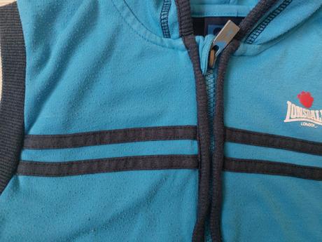 Teplakova vesta, 104