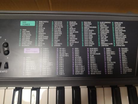 Keyboard casio ctk-100, 