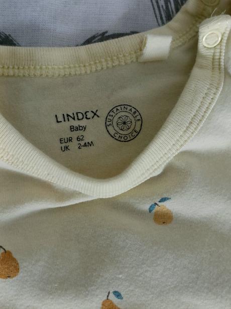 Lindex hrušky 62, lindex,62