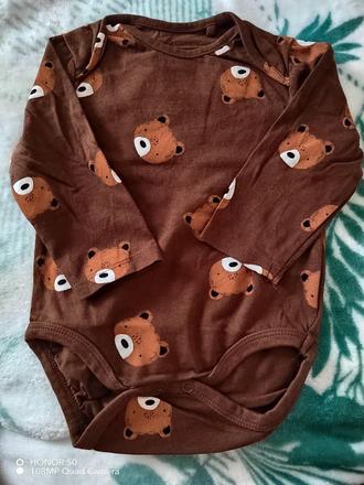 Body, fox & bunny,74