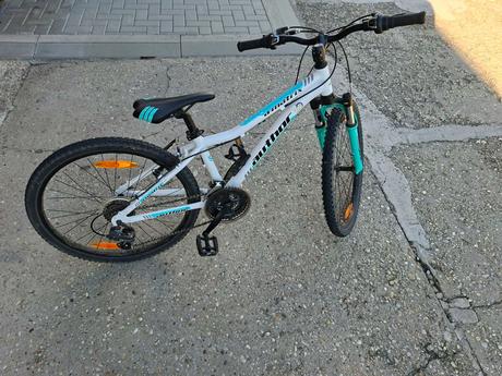 Bicykel author, author,24