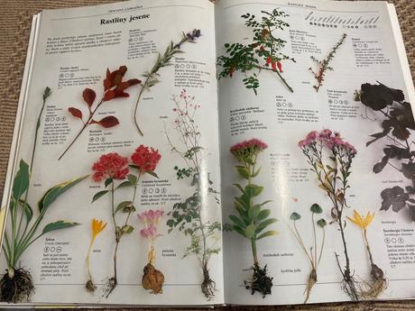 Biozáhrada pre radosť a zdravie geoff hamilton,