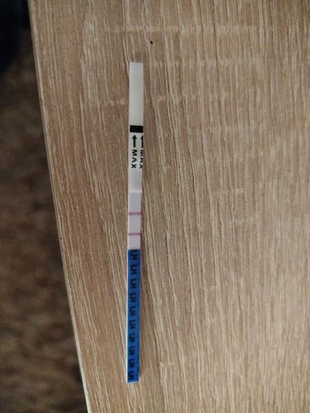 Je už vonku pracovná verzia?