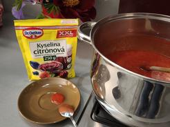 Kyselina citrónová XXL 250 g Dr.Oetker