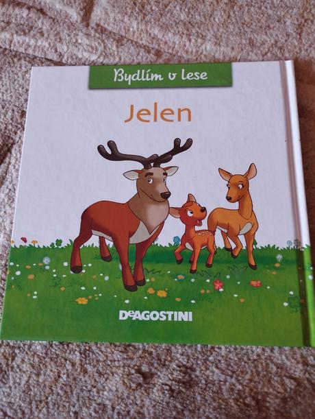 Bydlim v lese,