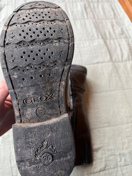 Geox 36, geox,36