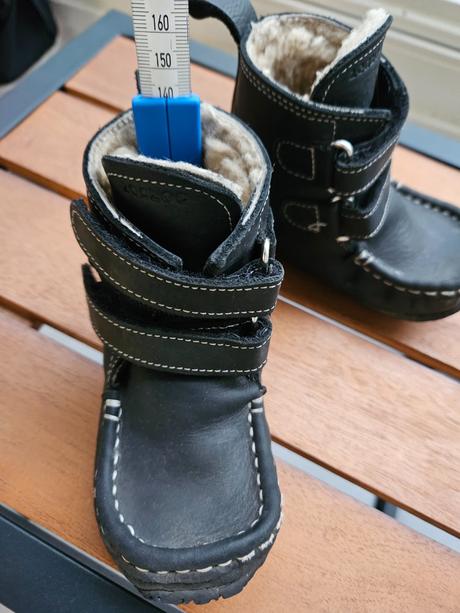 Bf zeazoo 21-22, zeazoo,21