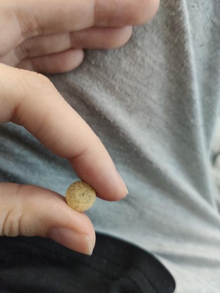 Ahojte neviete čo je toto za tabletku/doplnok stravy?