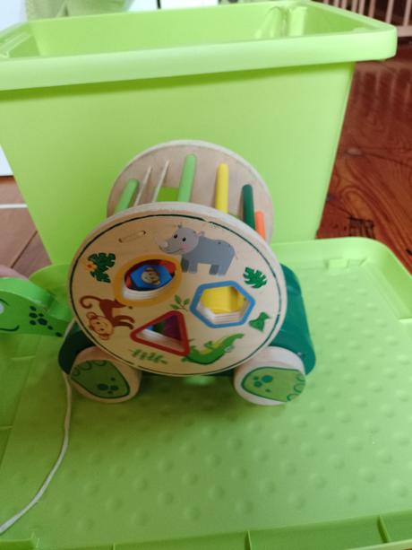 Drevené korytnačka, 