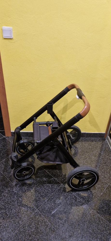 Kociar neonato, neonato,neonato puro