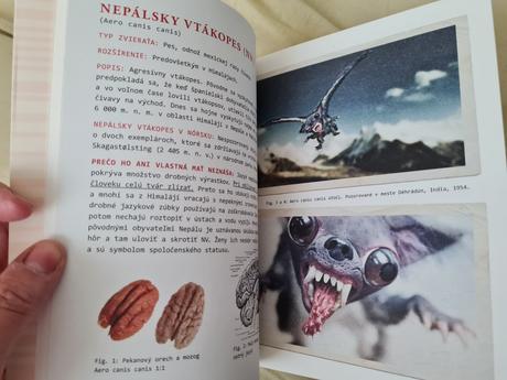 Senzačná zbierka doktora proktora z.k.a.v.m.n.,