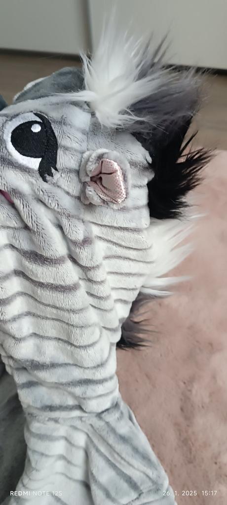 Overal zebra, c&a,170