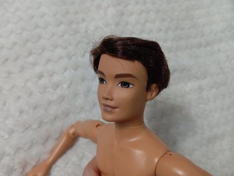 Barbie my scene chlapci ken, 
