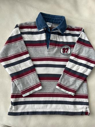 Palomino hrubšia polokosela vel., palomino,116