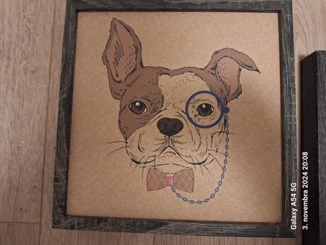 Obrazy psíkovia,