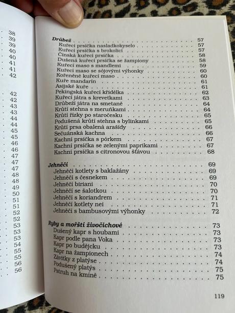 Kuchařka vaříme na pánvi wok - karina havlů, 