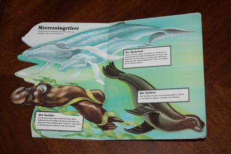 Leporelo meereslebewesen, 