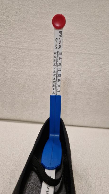 Balerínky 36, 36