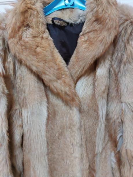 Kožuch - kórejský pes, 44