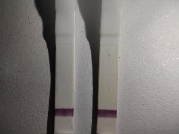 Môžu byť testy pozitívne, keď je na nich slabá tenká čiarka?