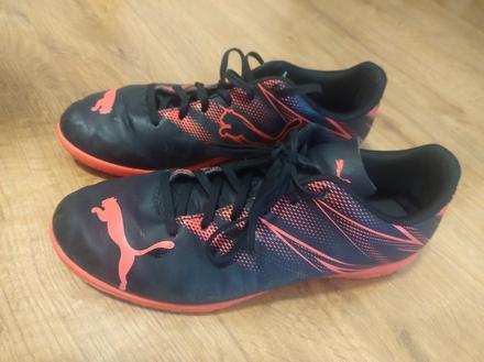 Halovky puma, puma,40