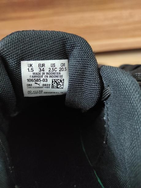 Halovky puma, puma,34