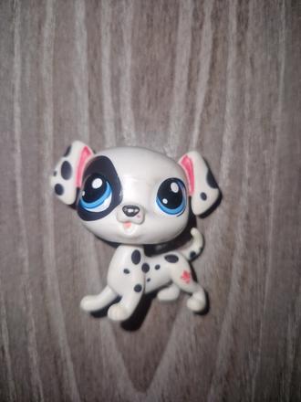 Littlest pet shop dalmatínec, 