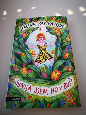 Kniha ulovila jsem ho v busi, 