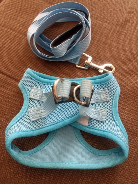 Postroj pre maleho psíka vel. xs, 