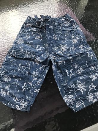 Palomino sortky, palomino,122