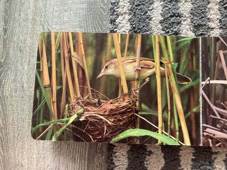 Pri vodičke, na vode /leporelo-prvé vyd.1989, 