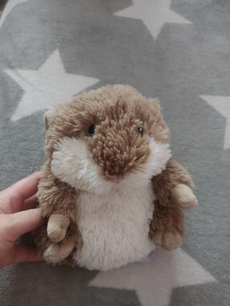 Vankúšik na bolesť brucha, 